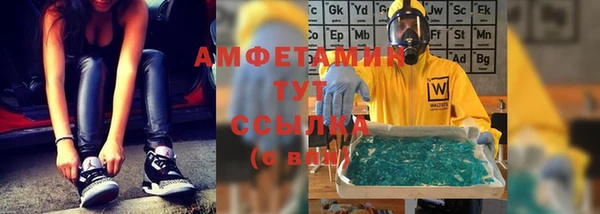 трава Гусиноозёрск