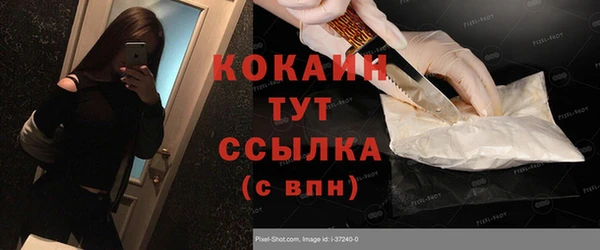 трава Гусиноозёрск