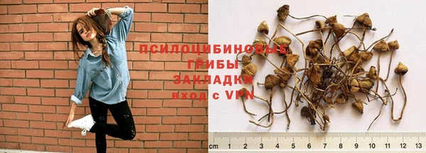 скорость mdpv Дмитровск