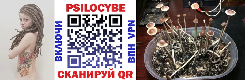 Галлюциногенные грибы Magic Shrooms  где купить наркоту  Владимир 