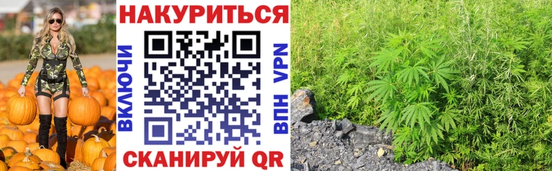 Бошки Шишки White Widow  мега ONION  Владимир 